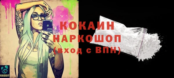 амф Пестово