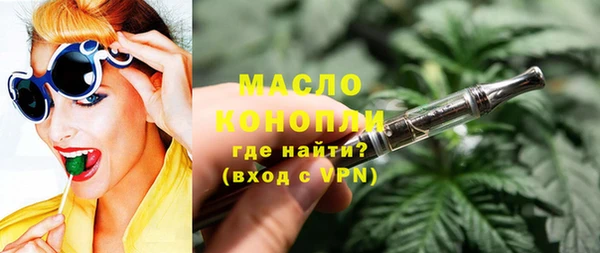 амф Пестово