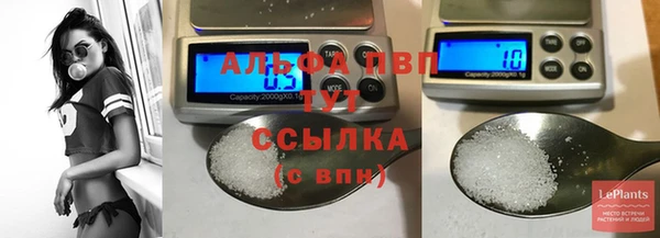 амф Пестово