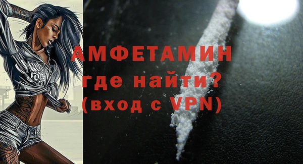 амф Пестово